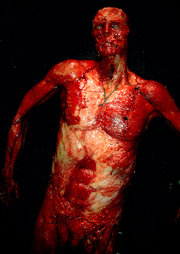 Revelation
Prosthetic skinned body of Terrence Stamp