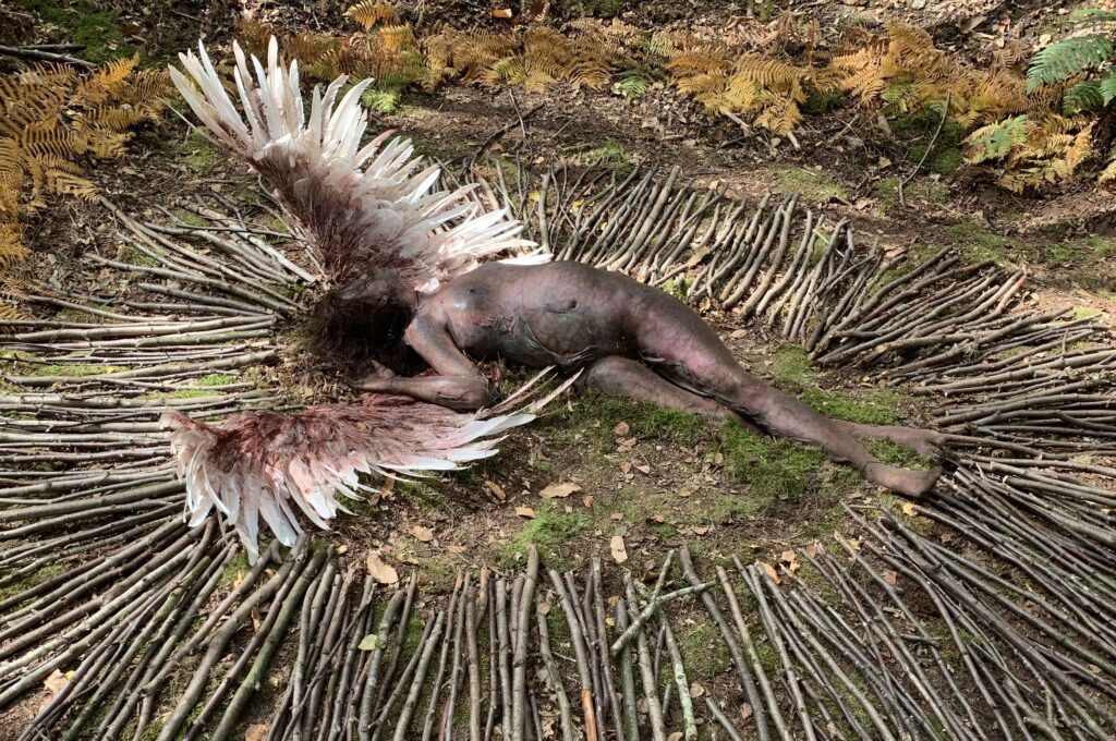 The Chemistry of Death
"Sally" with Swan wings installation